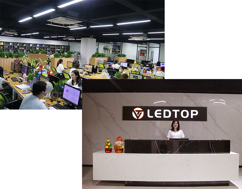 About Ledtop